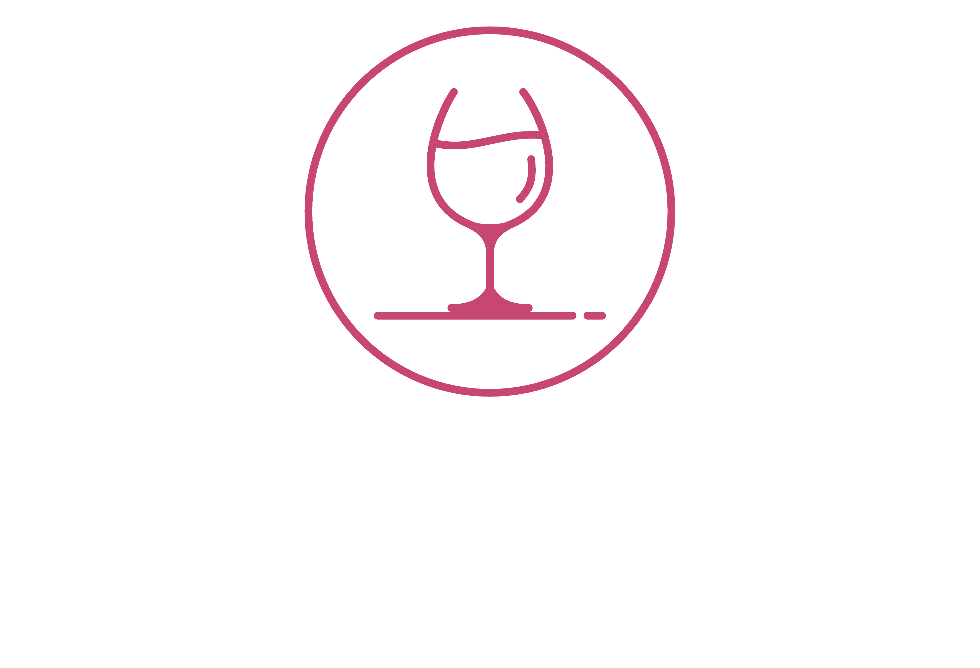 White logo - no background.png